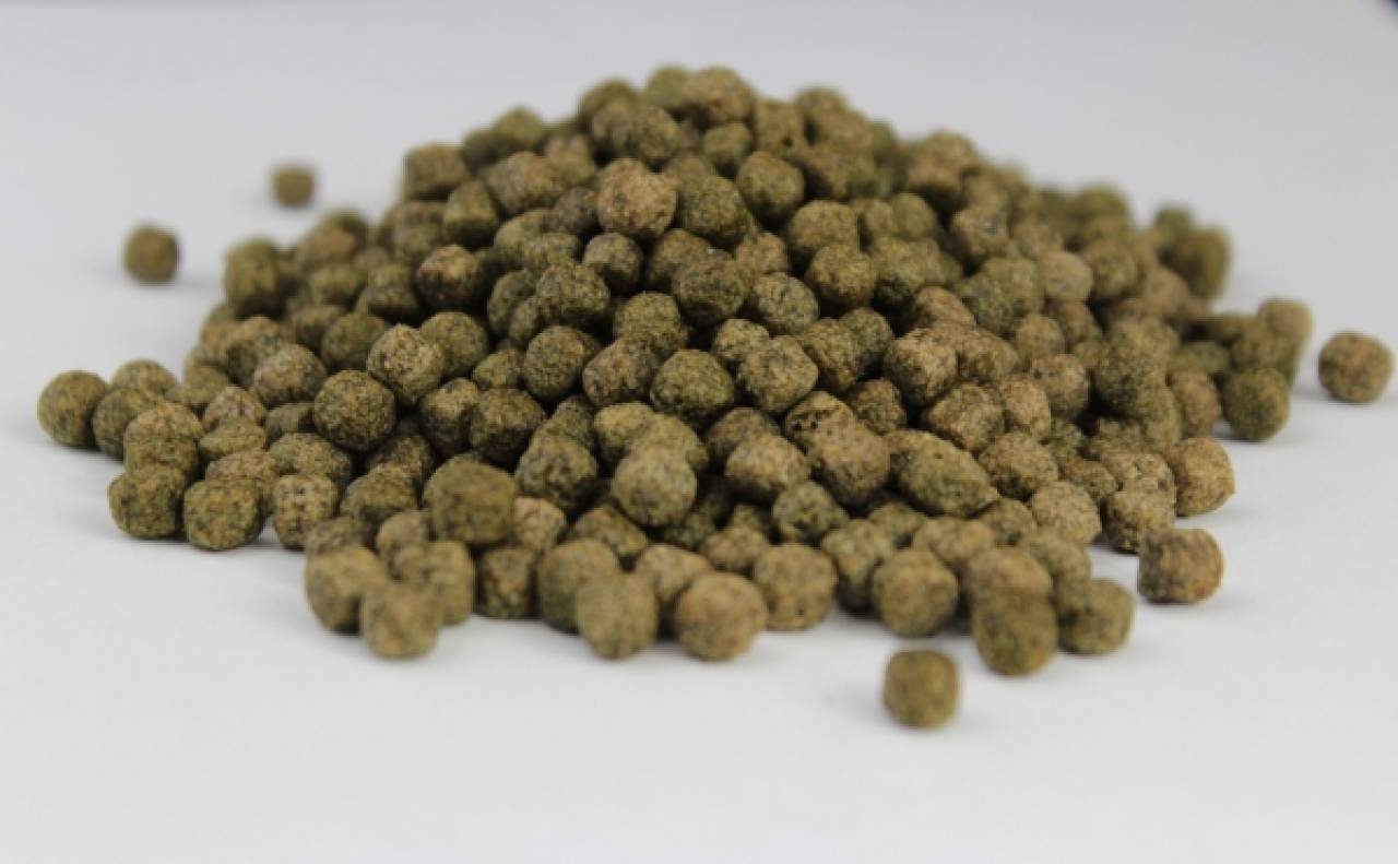 Pond Pellets